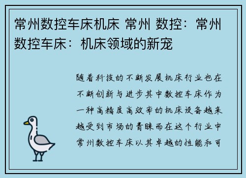 常州数控车床机床 常州 数控：常州数控车床：机床领域的新宠